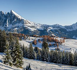 Val Gardena